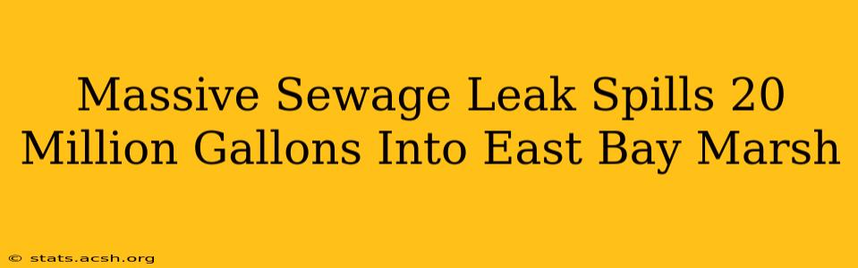 Massive Sewage Leak Spills 20 Million Gallons Into East Bay Marsh