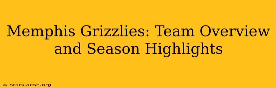 Memphis Grizzlies: Team Overview and Season Highlights