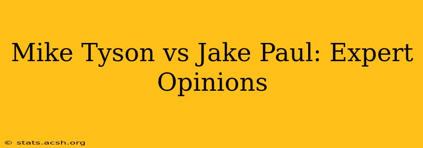 Mike Tyson vs Jake Paul: Expert Opinions