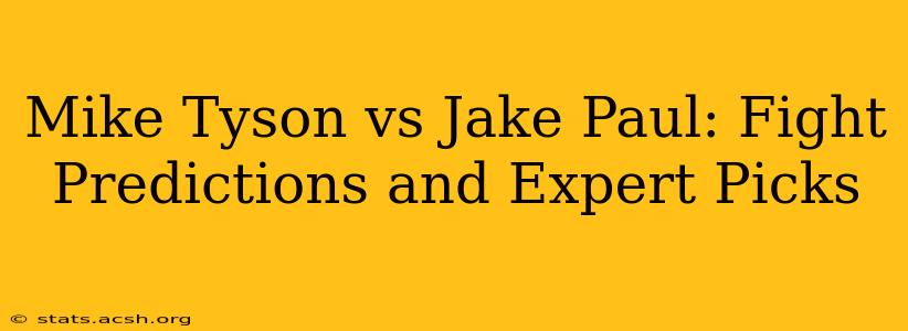 Mike Tyson vs Jake Paul: Fight Predictions and Expert Picks