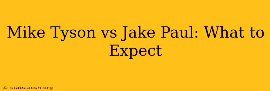 Mike Tyson vs Jake Paul: What to Expect