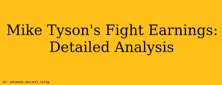 Mike Tyson's Fight Earnings: Detailed Analysis