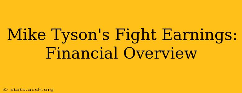 Mike Tyson's Fight Earnings: Financial Overview