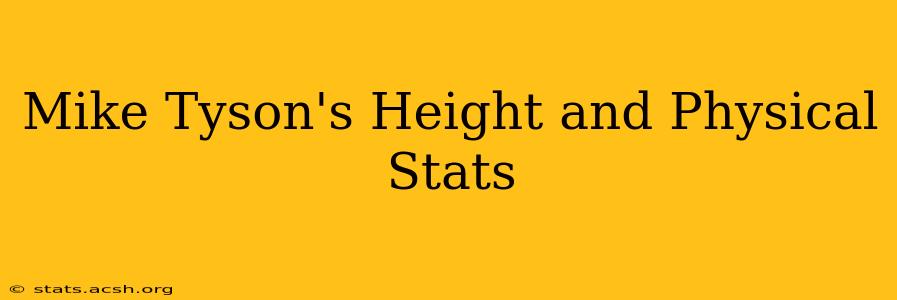 Mike Tyson's Height and Physical Stats