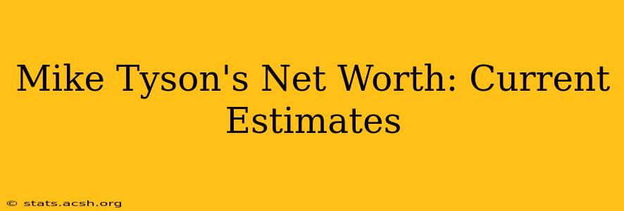 Mike Tyson's Net Worth: Current Estimates