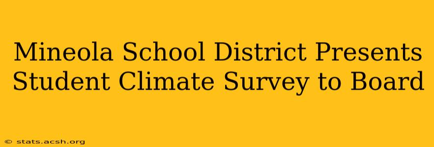 Mineola School District Presents Student Climate Survey to Board