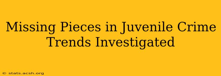 Missing Pieces in Juvenile Crime Trends Investigated