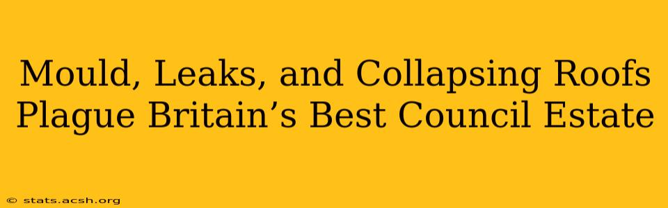 Mould, Leaks, and Collapsing Roofs Plague Britain’s Best Council Estate