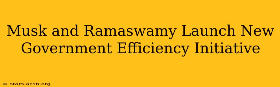 Musk and Ramaswamy Launch New Government Efficiency Initiative