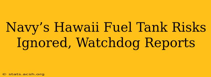 Navy’s Hawaii Fuel Tank Risks Ignored, Watchdog Reports