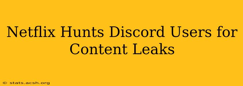 Netflix Hunts Discord Users for Content Leaks