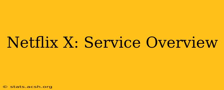 Netflix X: Service Overview