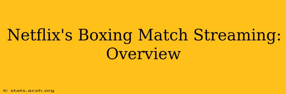 Netflix's Boxing Match Streaming: Overview