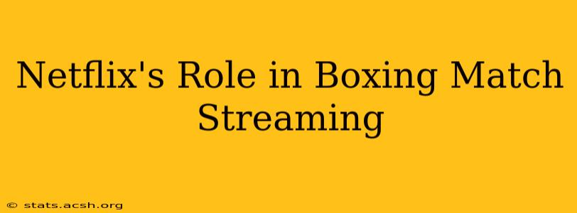 Netflix's Role in Boxing Match Streaming