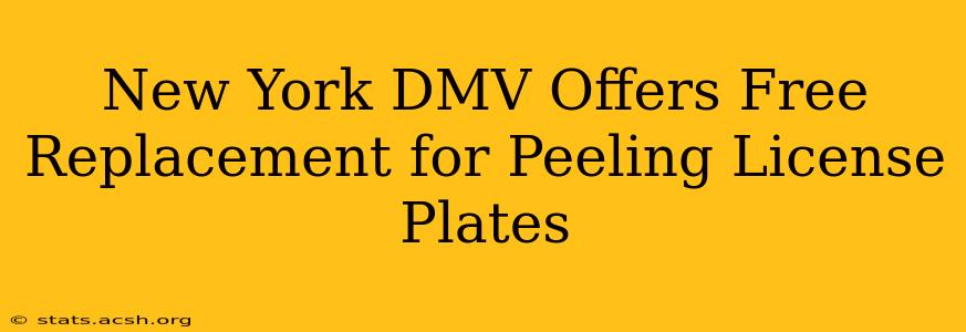 New York DMV Offers Free Replacement for Peeling License Plates