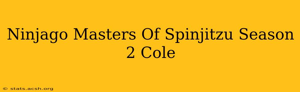 Ninjago Masters Of Spinjitzu Season 2 Cole