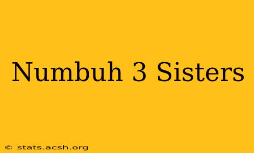 Numbuh 3 Sisters