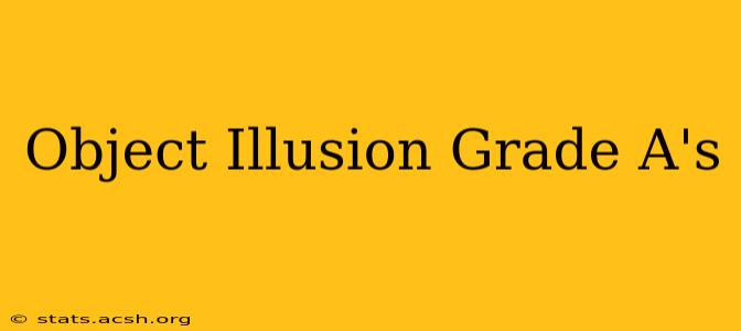 Object Illusion Grade A's