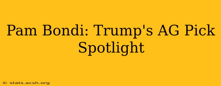 Pam Bondi: Trump's AG Pick Spotlight