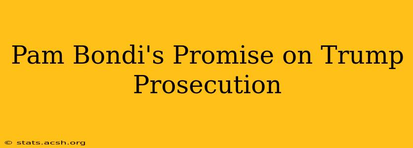 Pam Bondi's Promise on Trump Prosecution