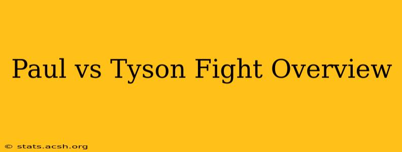 Paul vs Tyson Fight Overview