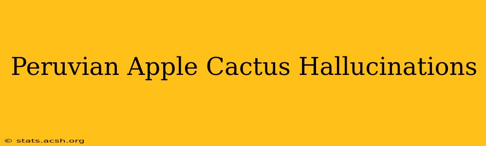 Peruvian Apple Cactus Hallucinations