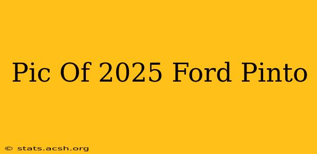 Pic Of 2025 Ford Pinto