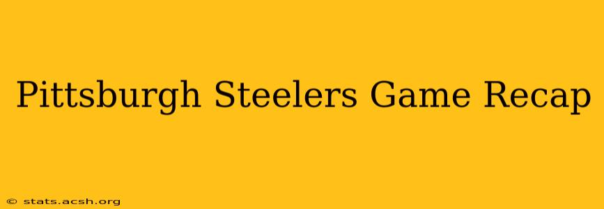 Pittsburgh Steelers Game Recap