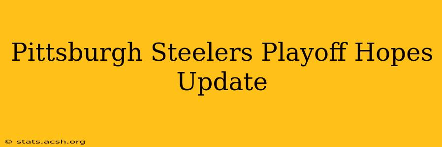 Pittsburgh Steelers Playoff Hopes Update