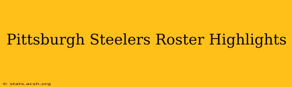 Pittsburgh Steelers Roster Highlights