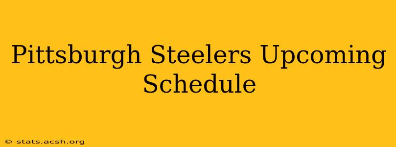 Pittsburgh Steelers Upcoming Schedule