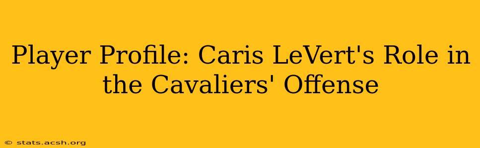 Player Profile: Caris LeVert's Role in the Cavaliers' Offense