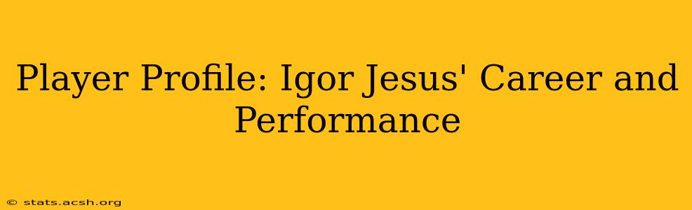 Player Profile: Igor Jesus' Career and Performance