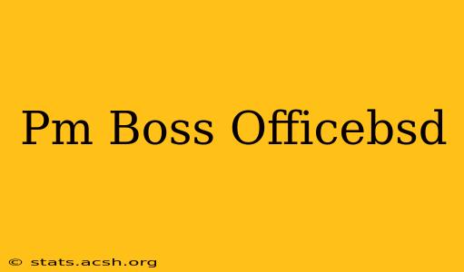 Pm Boss Officebsd