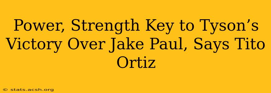 Power, Strength Key to Tyson’s Victory Over Jake Paul, Says Tito Ortiz