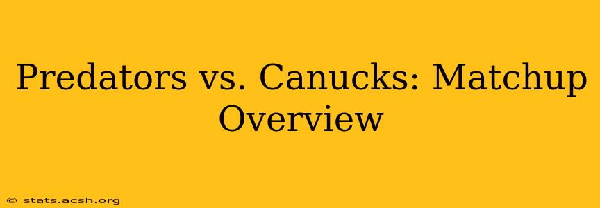 Predators vs. Canucks: Matchup Overview