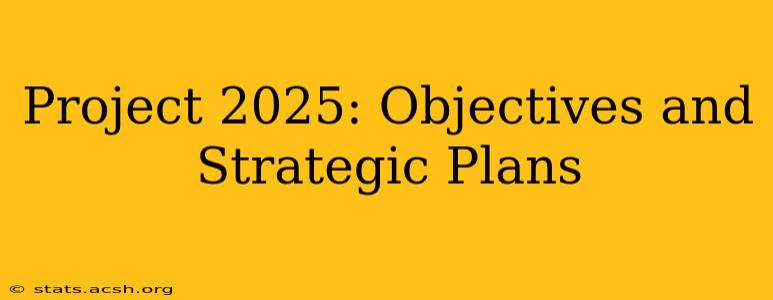 Project 2025: Objectives and Strategic Plans