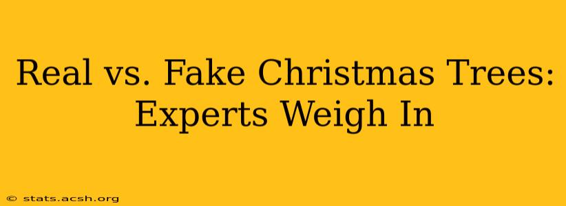 Real vs. Fake Christmas Trees: Experts Weigh In