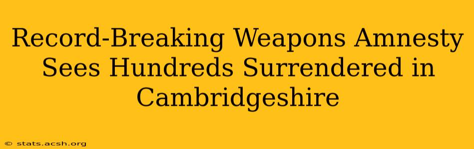 Record-Breaking Weapons Amnesty Sees Hundreds Surrendered in Cambridgeshire