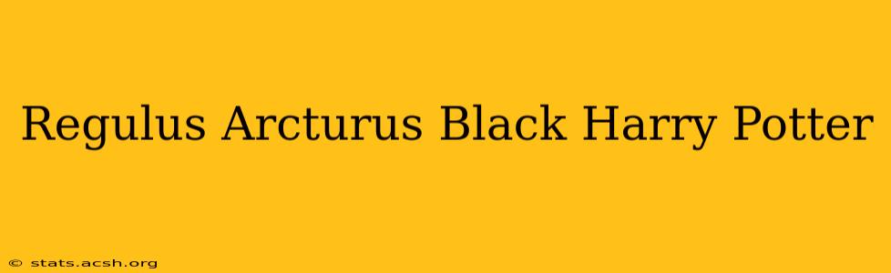 Regulus Arcturus Black Harry Potter