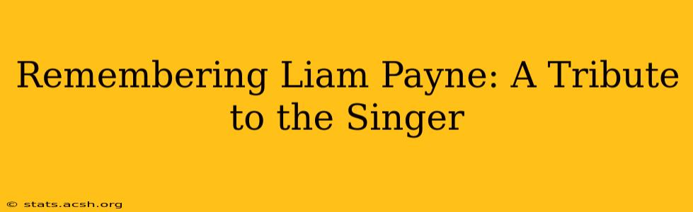 Remembering Liam Payne: A Tribute to the Singer