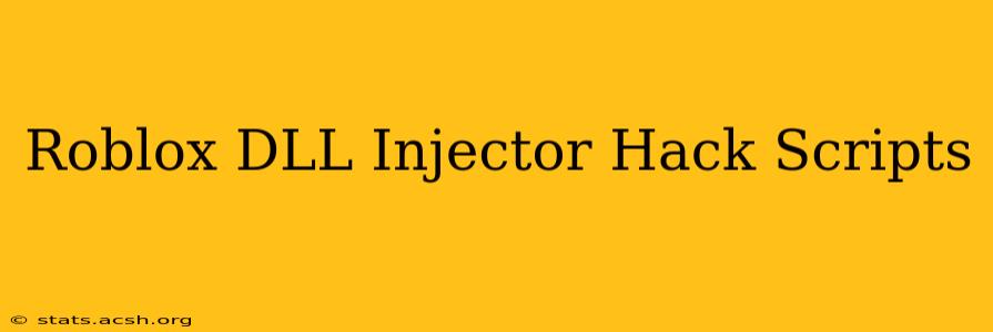 Roblox DLL Injector Hack Scripts