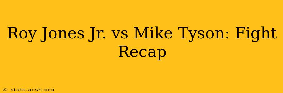 Roy Jones Jr. vs Mike Tyson: Fight Recap