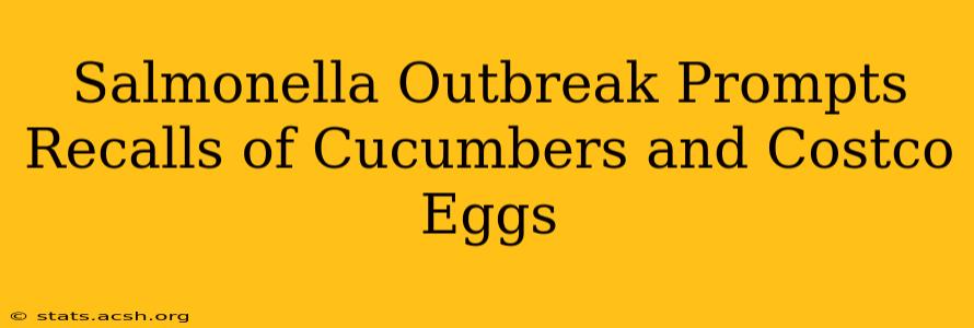 Salmonella Outbreak Prompts Recalls of Cucumbers and Costco Eggs