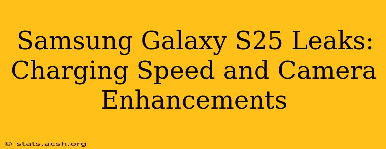 Samsung Galaxy S25 Leaks: Charging Speed and Camera Enhancements