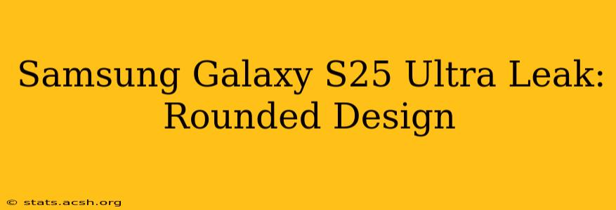 Samsung Galaxy S25 Ultra Leak: Rounded Design