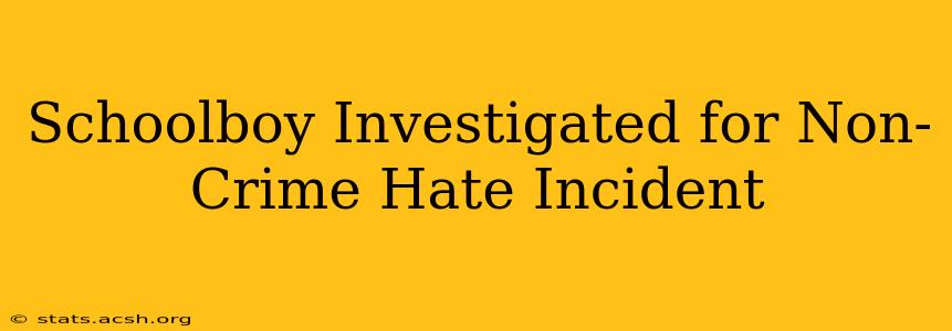 Schoolboy Investigated for Non-Crime Hate Incident