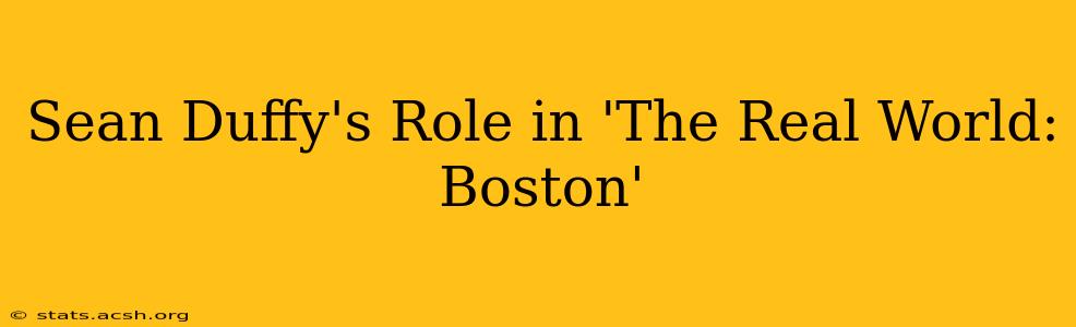 Sean Duffy's Role in 'The Real World: Boston'