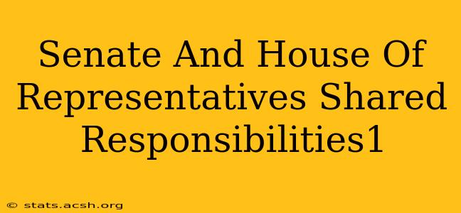 Senate And House Of Representatives Shared Responsibilities1