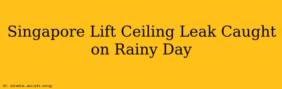 Singapore Lift Ceiling Leak Caught on Rainy Day